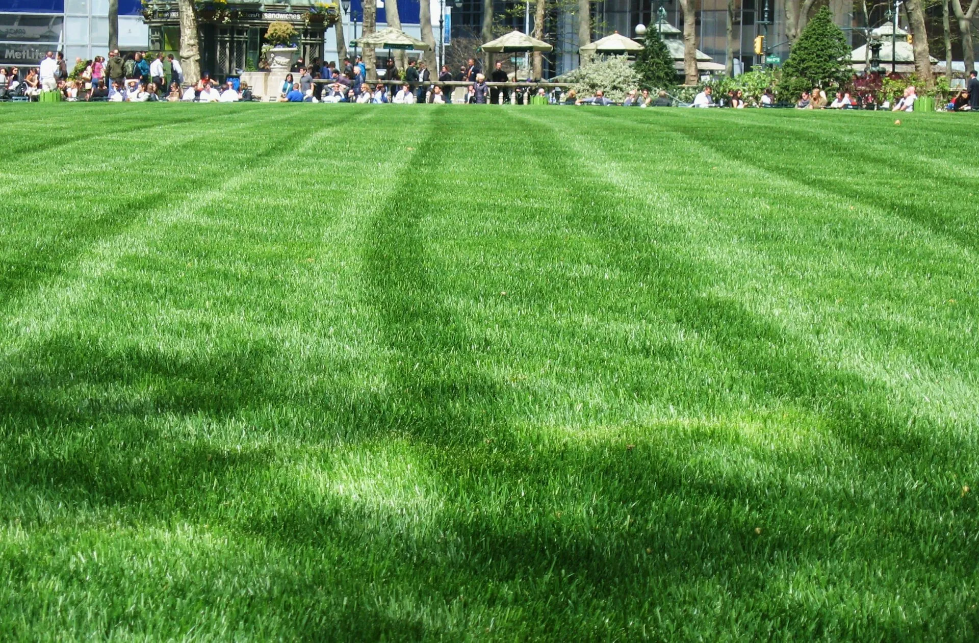 Sod Installation