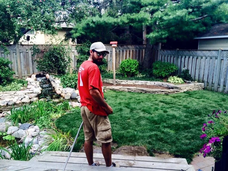 Backyard project
