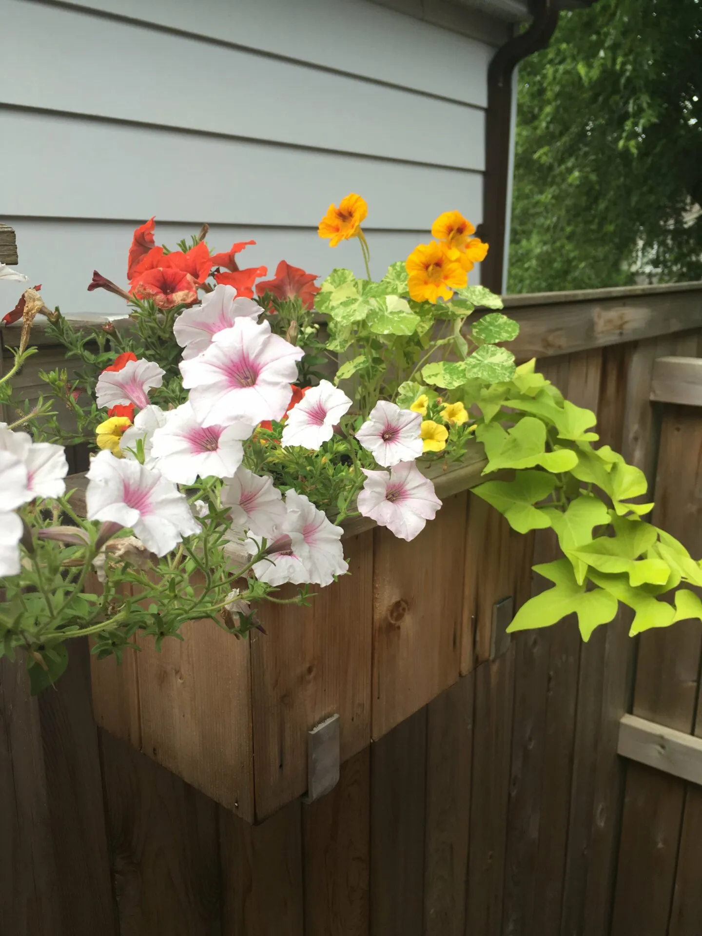 Flower box project