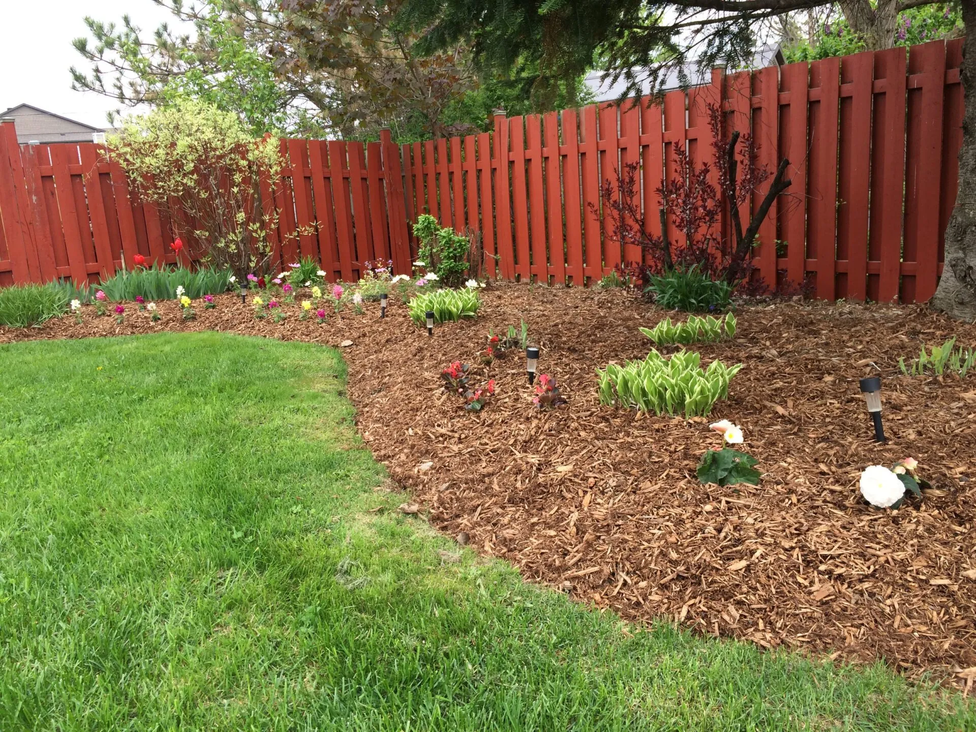 Garden bed project