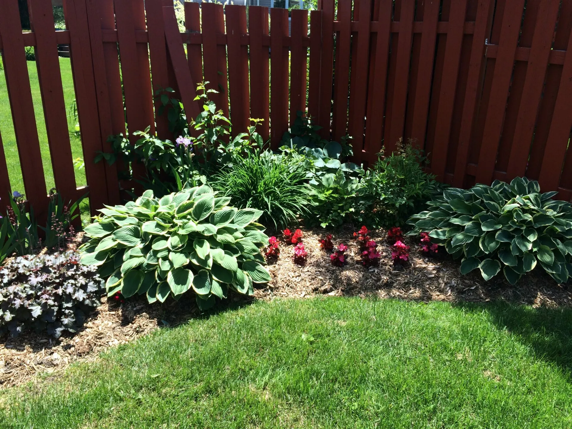 Garden bed project