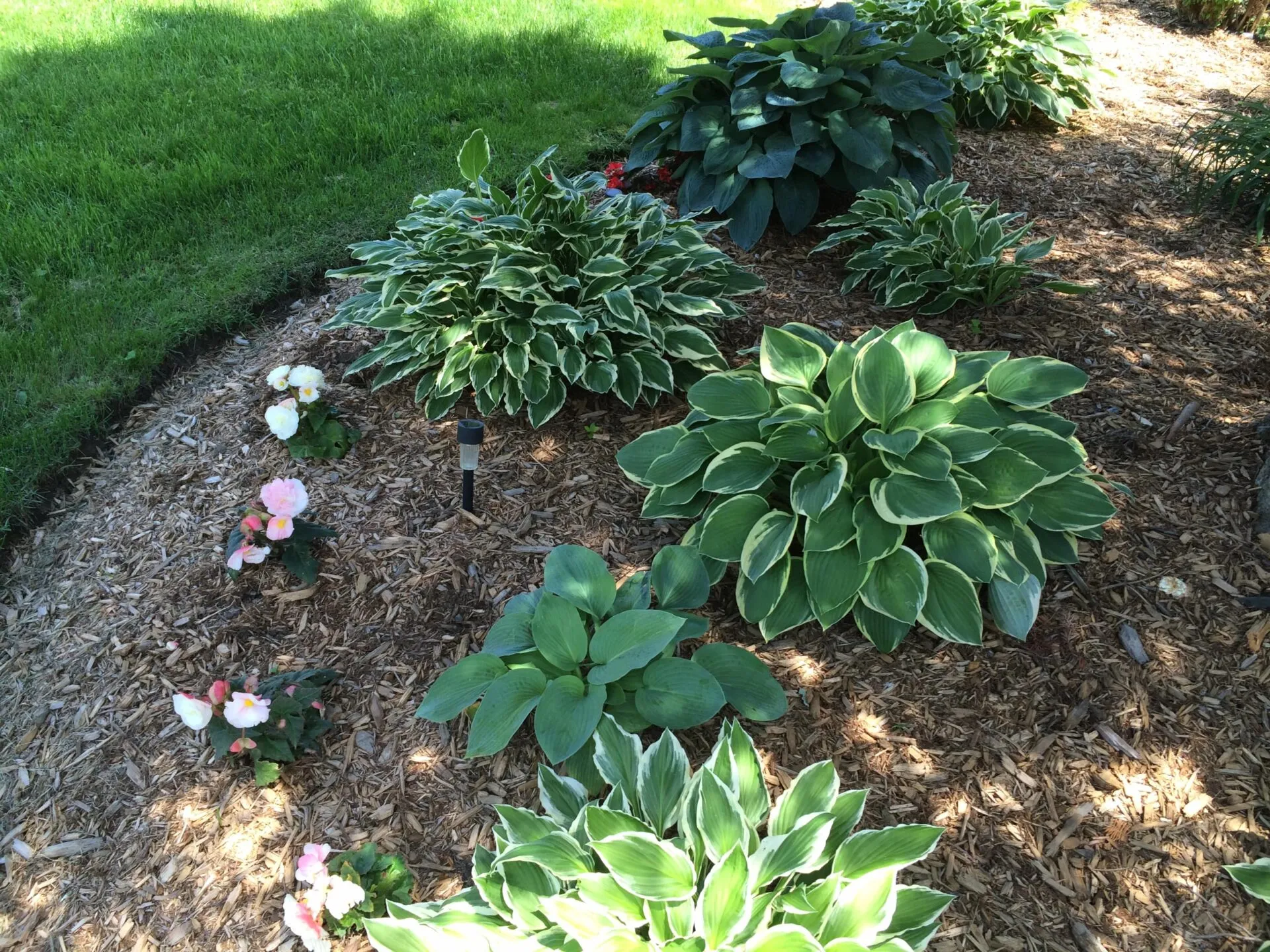 Garden bed project