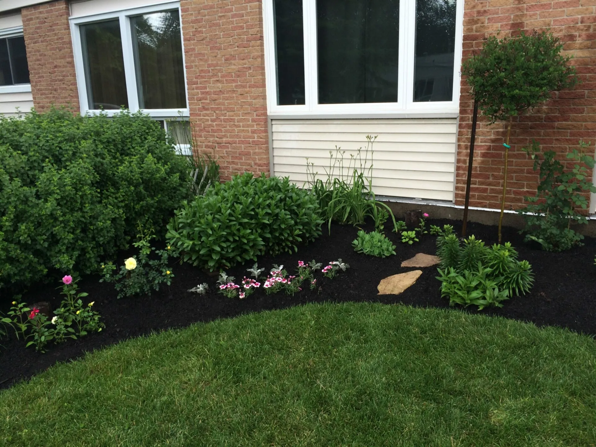 Garden bed project