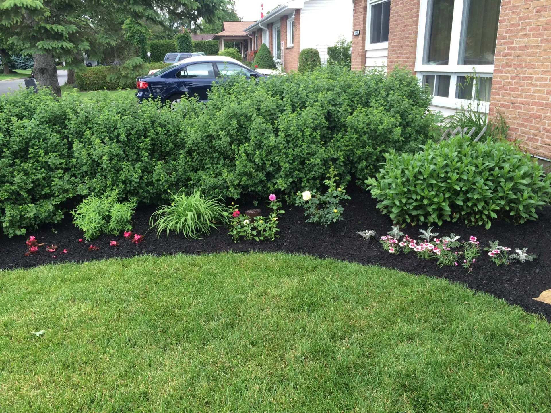 Garden bed project