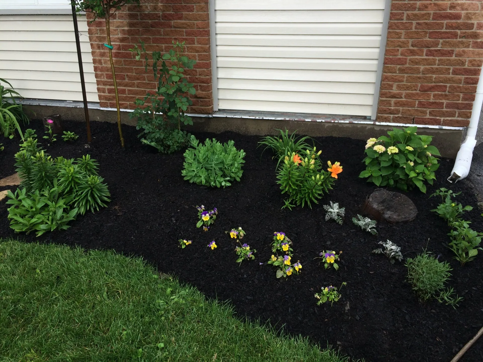 Garden bed project