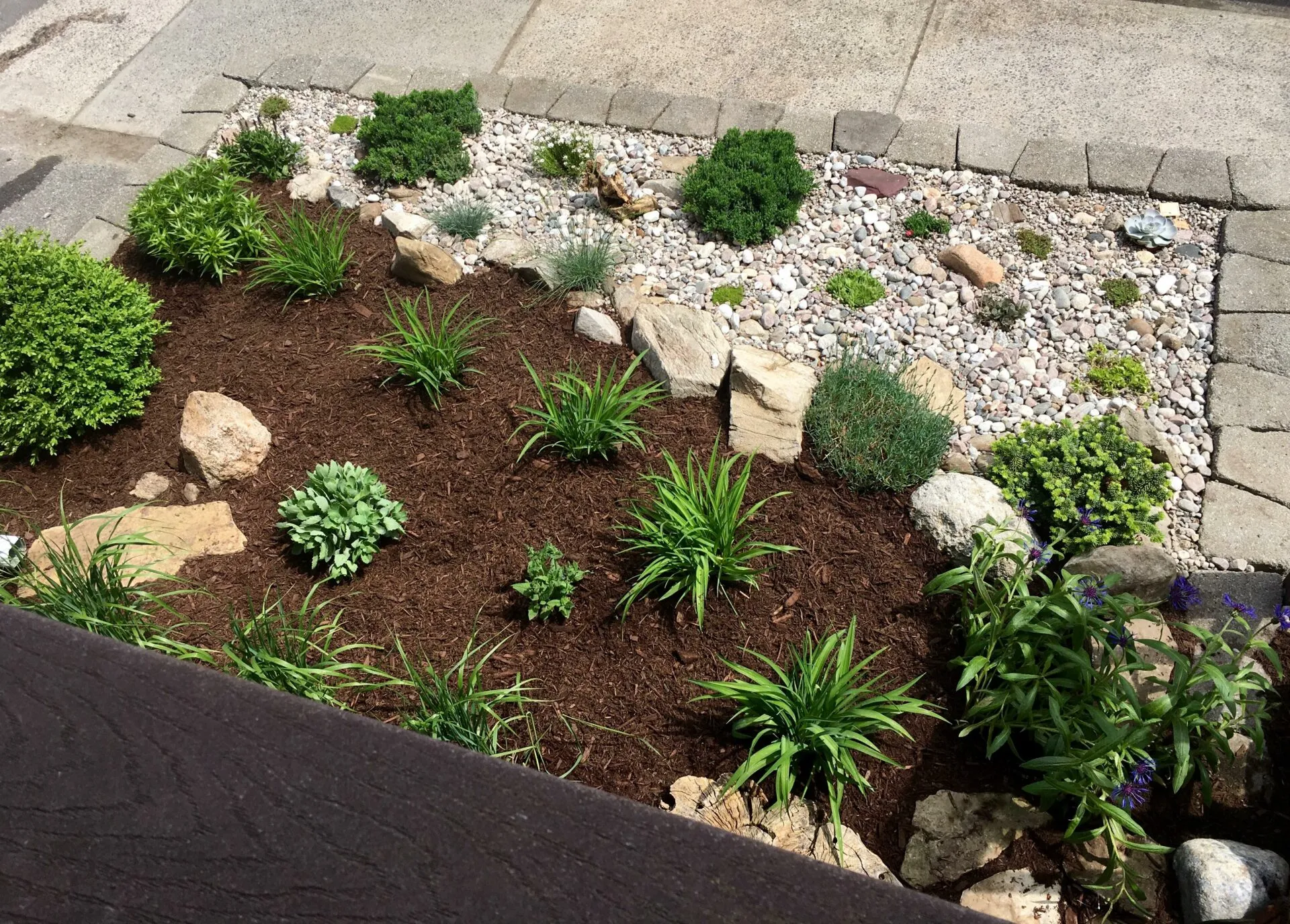 Garden bed project