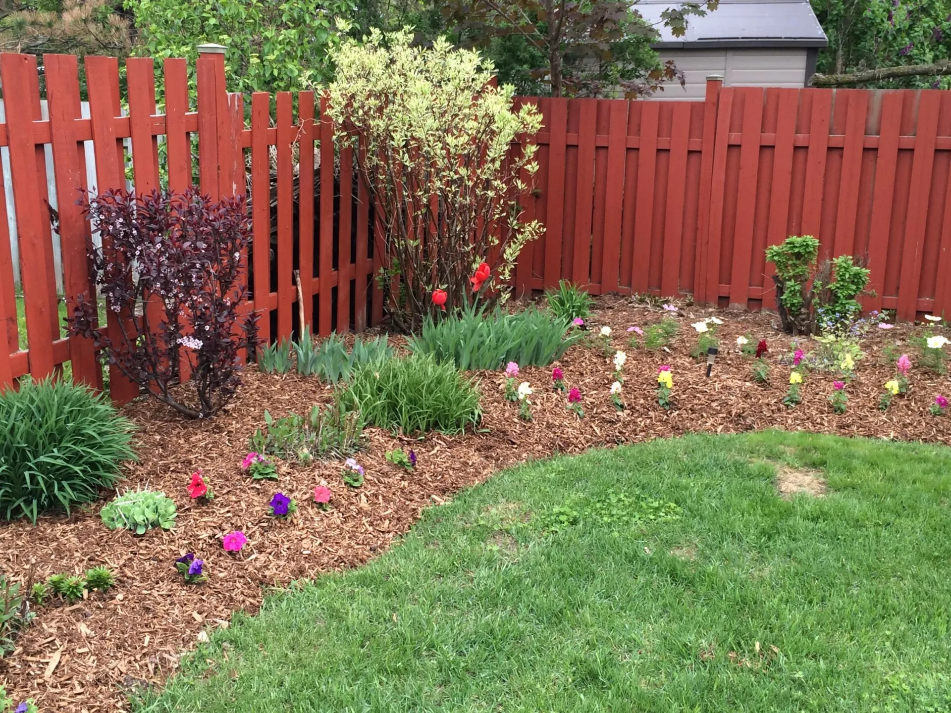 Garden bed project