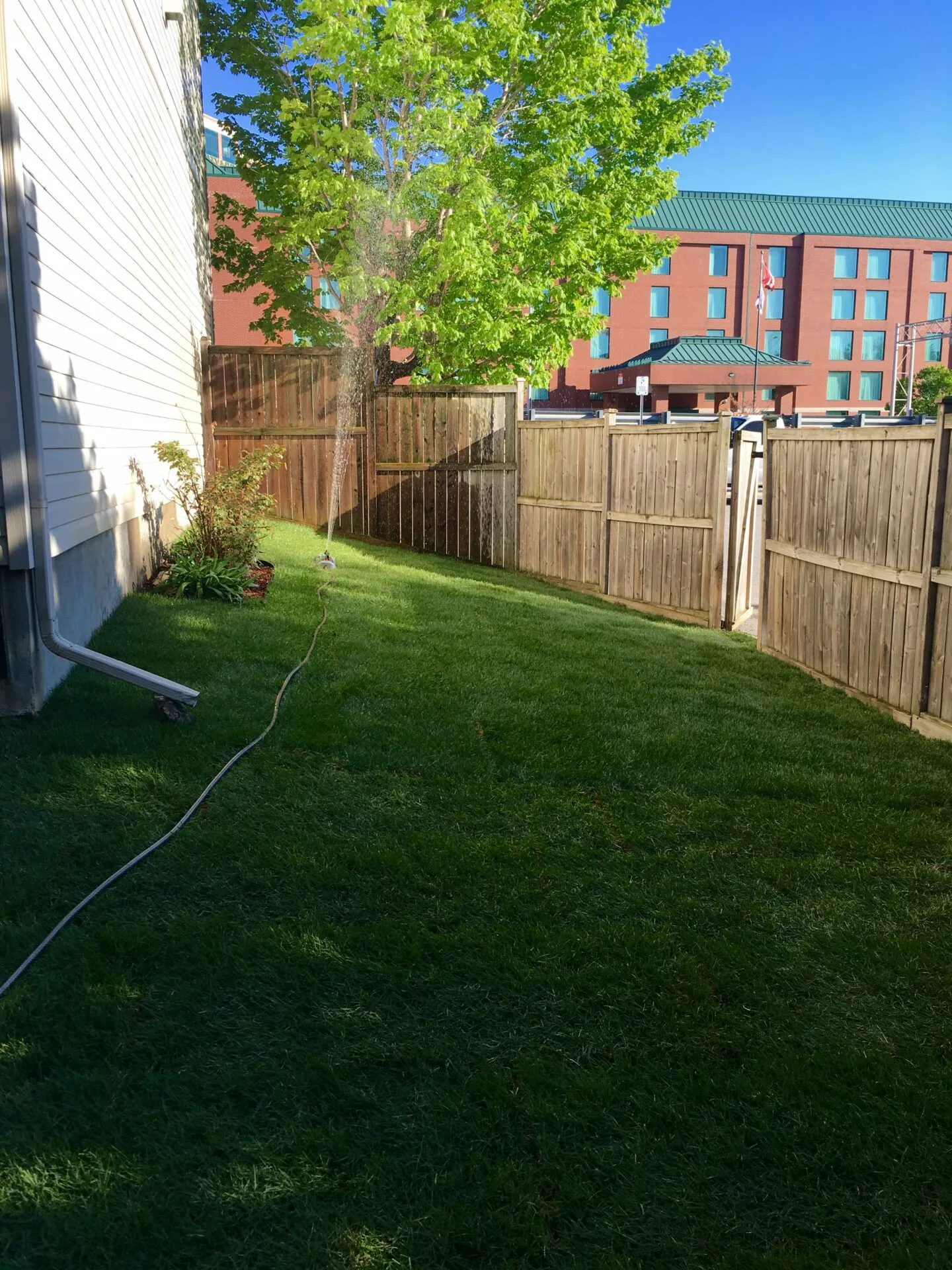 Professional sod installation
